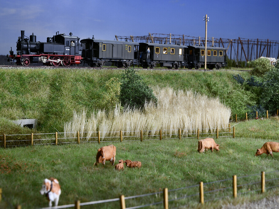 Faszination Modellbau Internationale Leitmesse für Modellbahnen und Modellbau FN2024 Spur H0 Bockerl fahr zua 03 uai