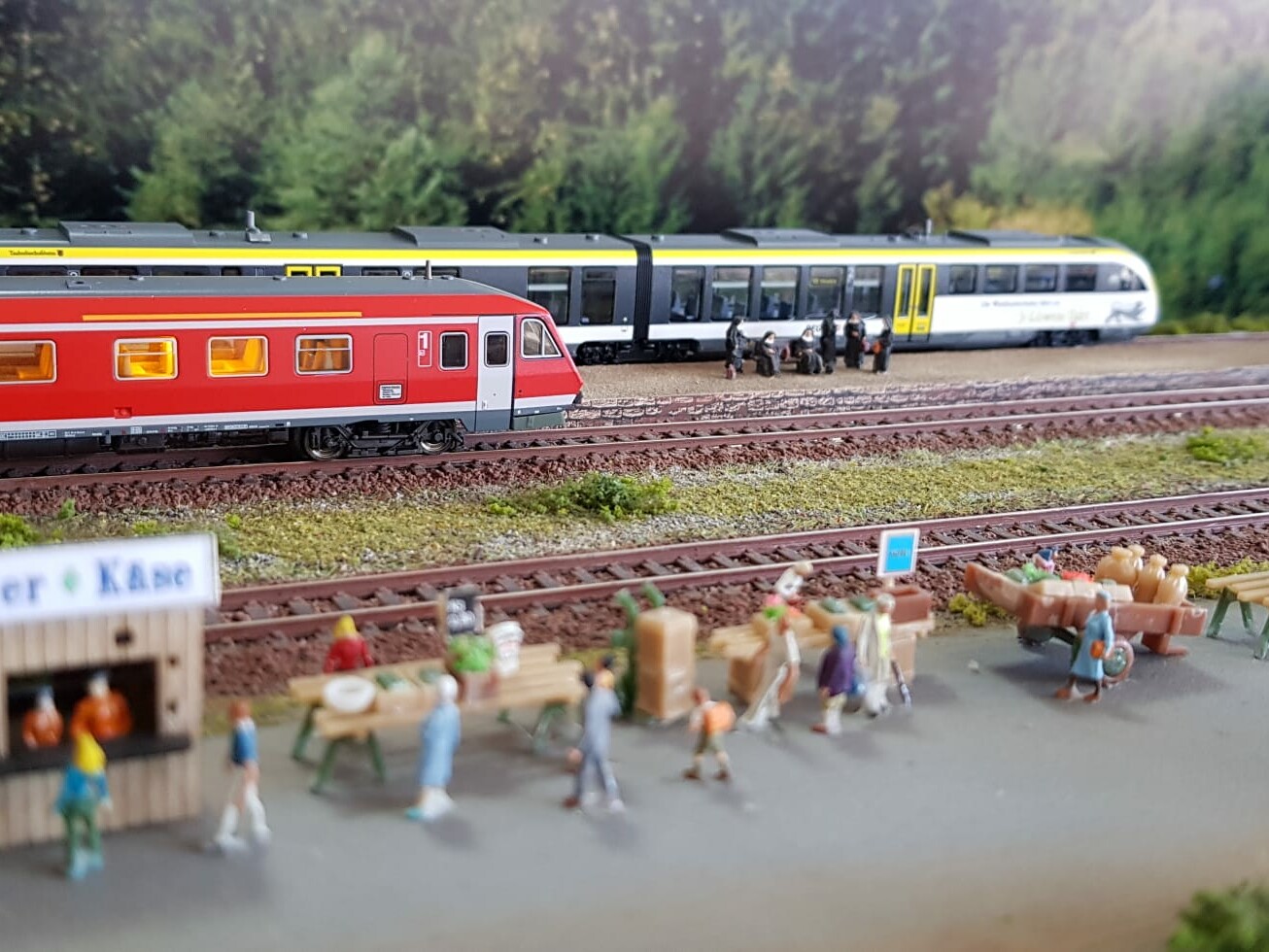 Faszination Modellbau Internationale Leitmesse für Modellbahnen und Modellbau FN2024 Spur N MEC Stetten 01 uai